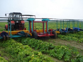 Платформа для уборки овощей ПУО-1А