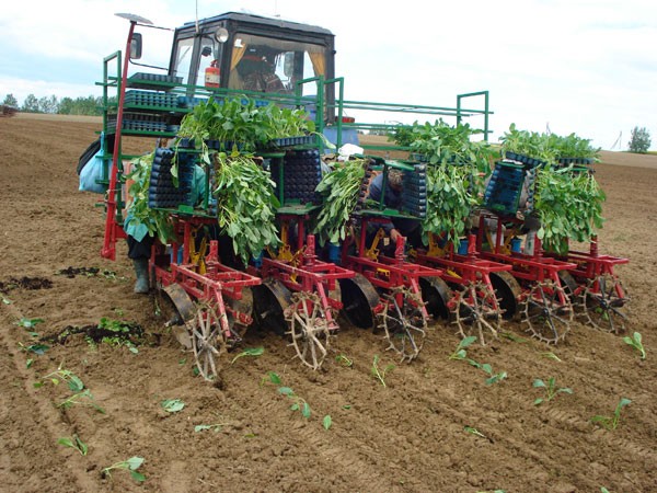 Рассадопосадочные машины