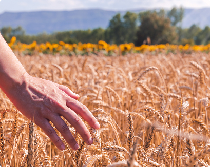 Кормозаготовка