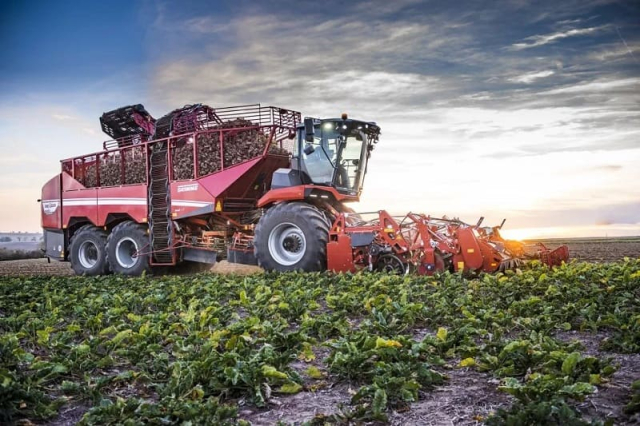 Секреты успешного осеннего сбора картофеля