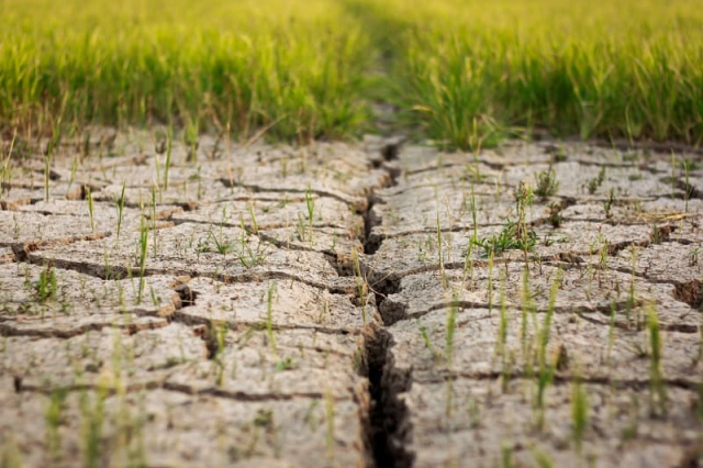 Борьба с эрозией почвы после зимовки: эффективные методы