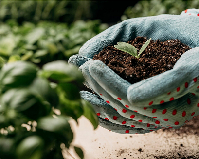 Внесение удобрений
