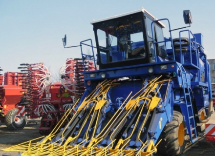 Кто силён выращивать лён?