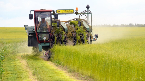 Уборка льна