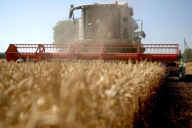 Уборка зерновых 2025: график и нормы