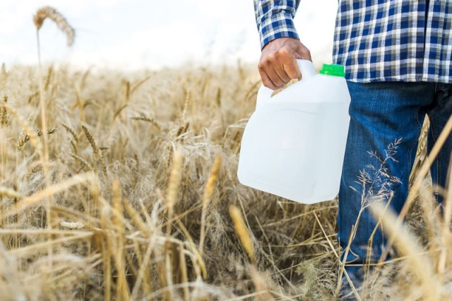 Ранняя подкормка: залог богатого урожая