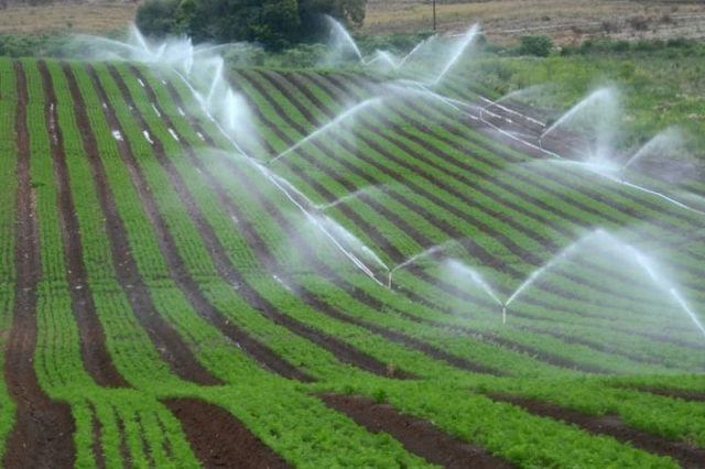 Посев в условиях переувлажнения