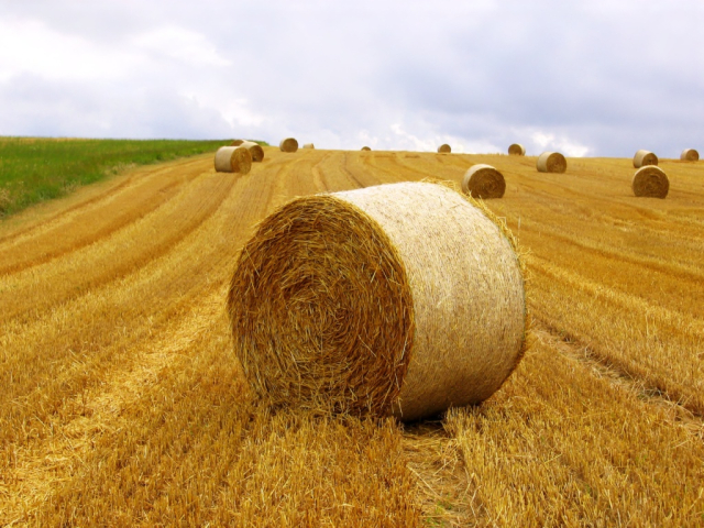 Как не упустить шанс