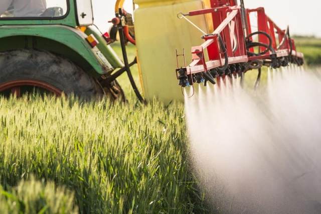 Уход за посевами в условиях жары