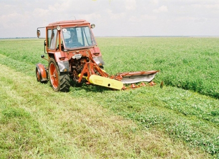 Пора косить! (из журнала "Аромаркет")