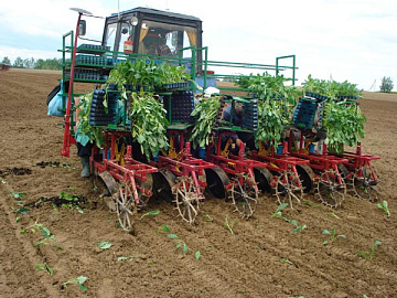 Машина рассадопосадочная беcкассетная МР-6-ти рядная