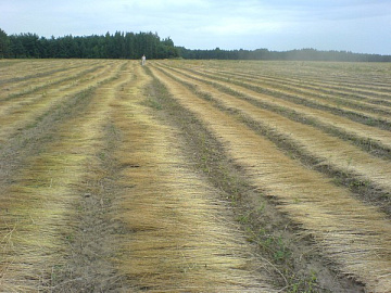 Оборачиватель лент льна ОЛ-140 (модернизированный)