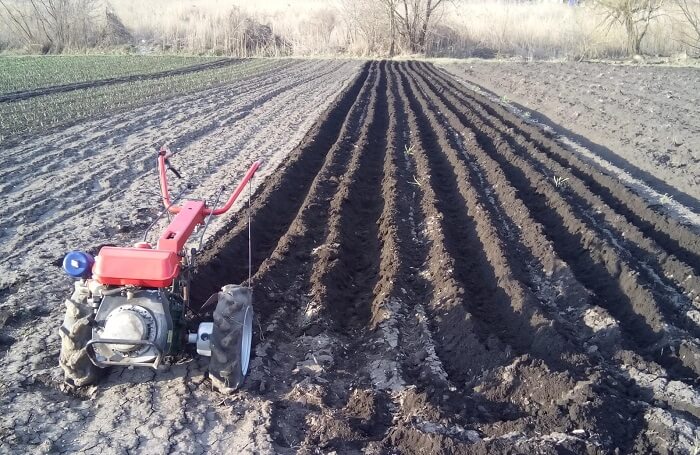 Нарезка борозд окучником