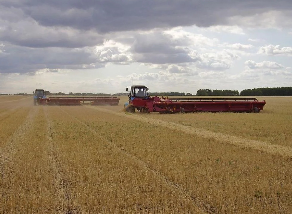 Что такое жатка, для чего нужна жатка?